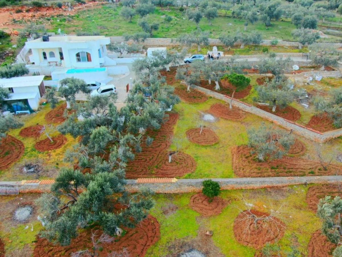 Konaki Villa Grammatiko