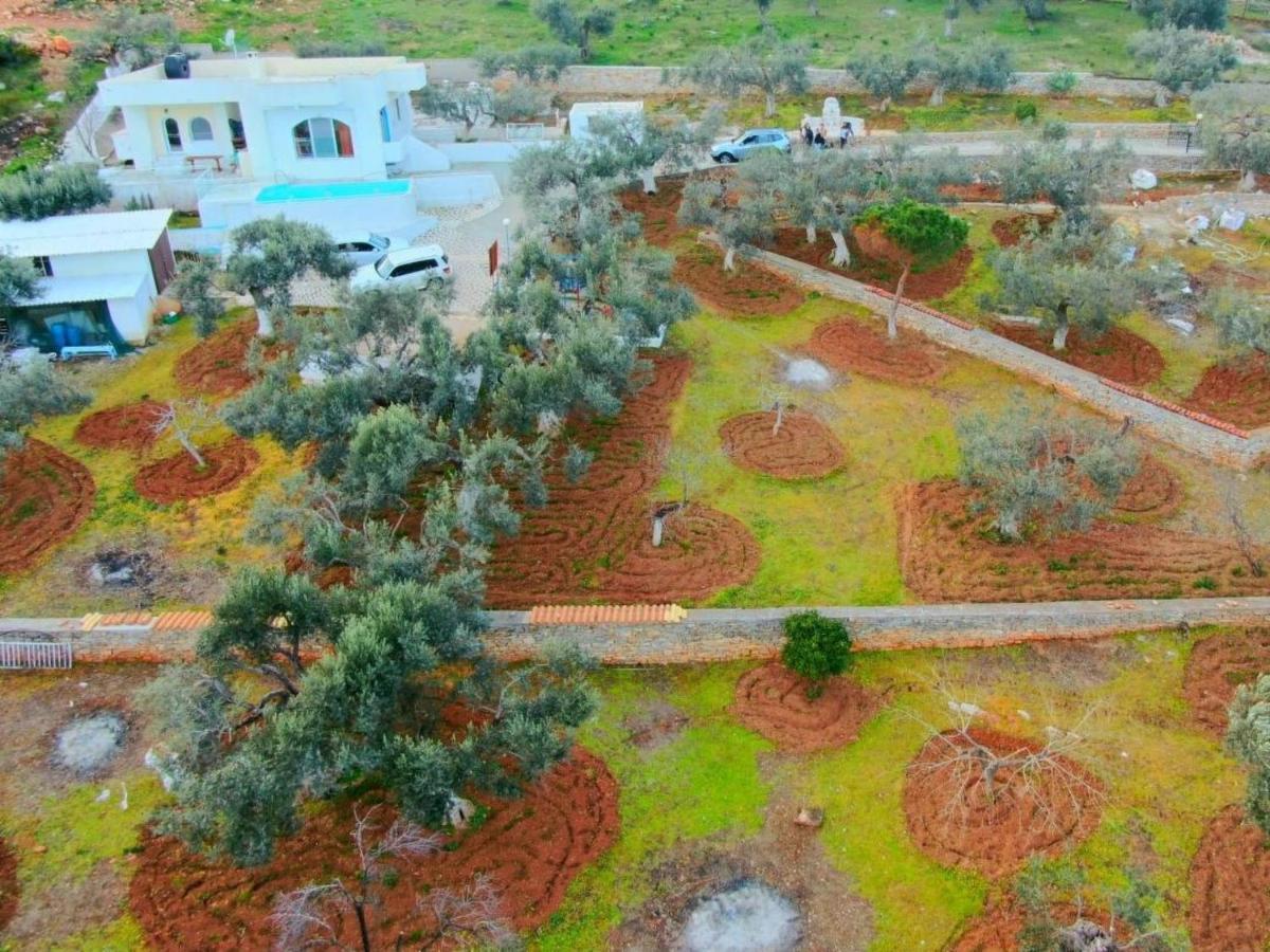 Konaki Villa Grammatiko